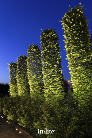 IN-LITE Reflektor BIG SCOPE NARROW