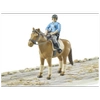 BRUDER Figurka policjanta na koniu 62507