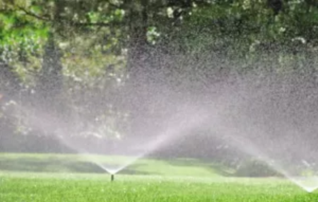 SCHWEIZER Nawóz Certo - Starter, 12-12-10 +4.4MgO, 50 % udział długotrwały (N), 25 Kg